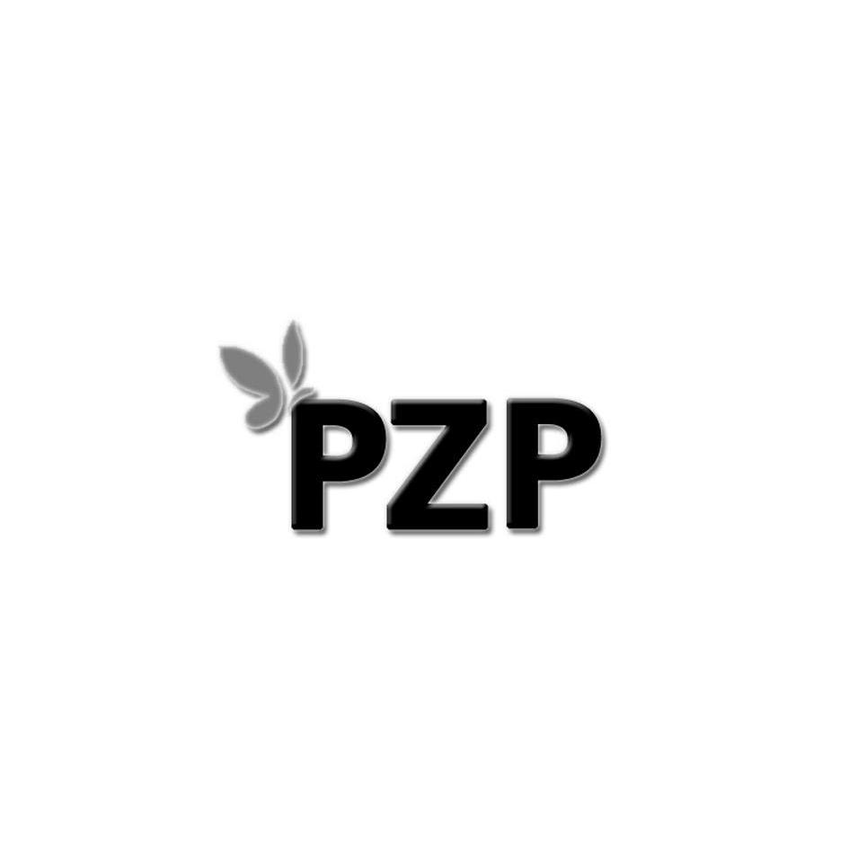 商标名称PZP商标注册号 10666845、商标申请人温州市派中派烟具制造有限公司的商标详情 - 标库网商标查询