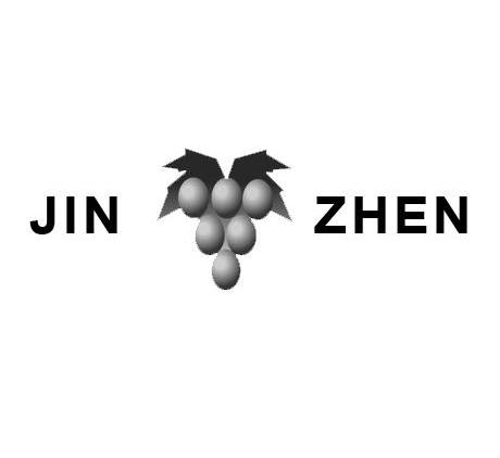 商标名称JIN ZHEN商标注册号 12673824、商标申请人新疆巨合科技有限责任公司的商标详情 - 标库网商标查询
