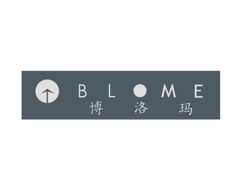 商标名称博洛玛 BLOME商标注册号 12630861、商标申请人上海衫源窗帘材料有限公司的商标详情 - 标库网商标查询
