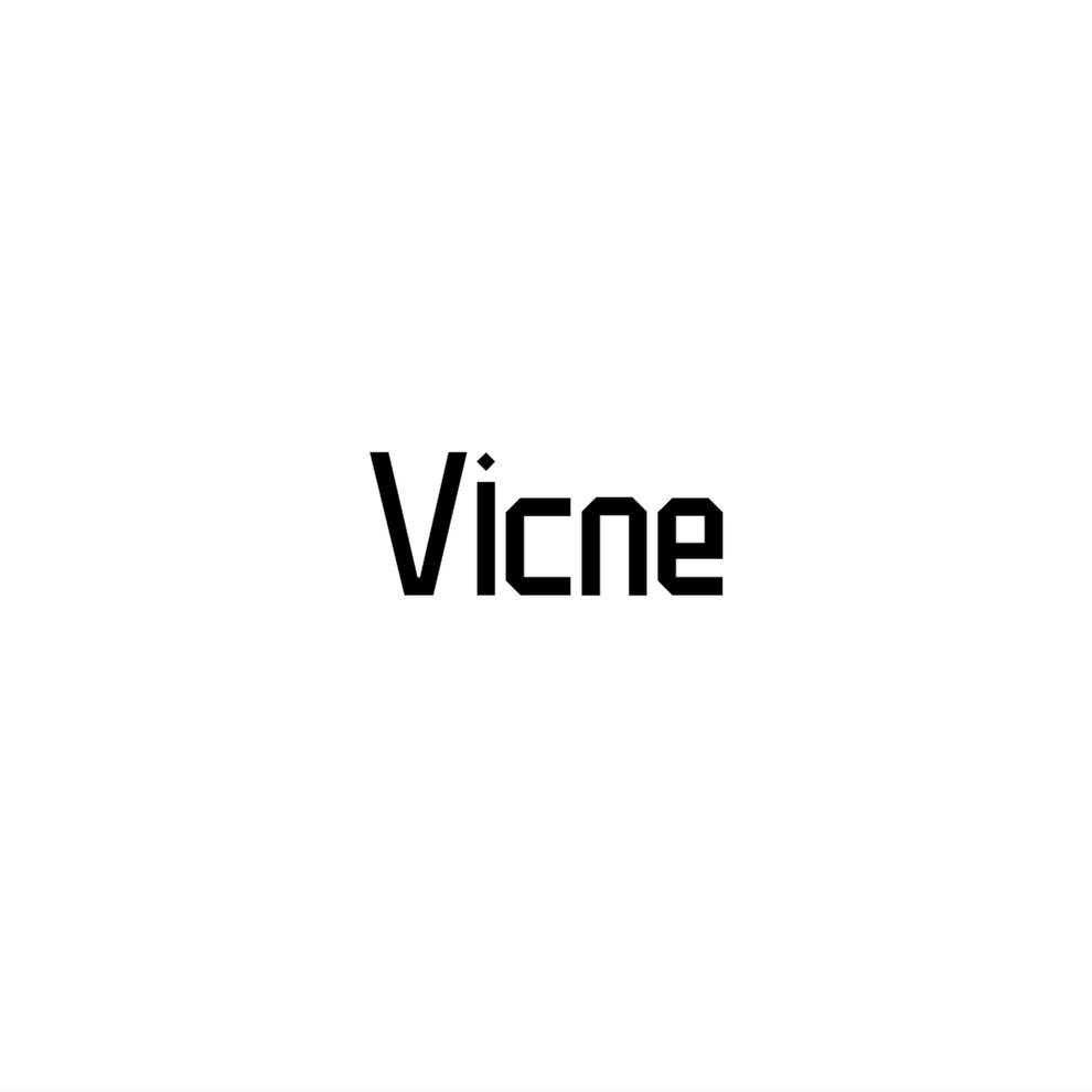 VICNE_04商标转让_04商标购买-购店网商标转让平台