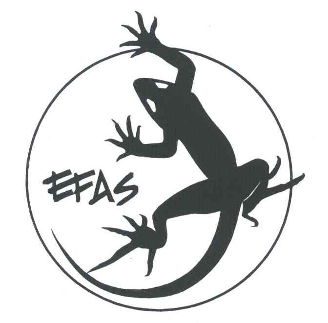 商标名称EFAS商标注册号 6872878、商标申请人深圳市摩力狮户外用品有限公司的商标详情 - 标库网商标查询