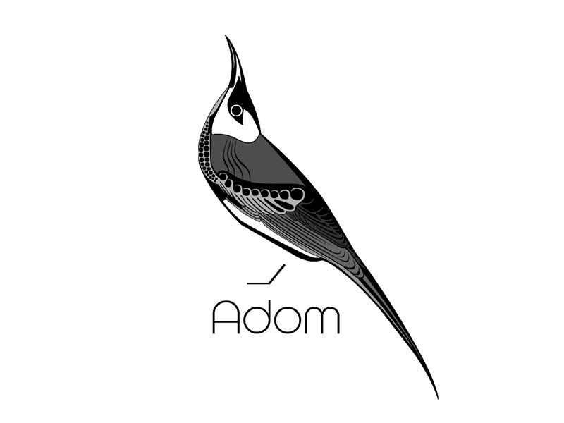 商标名称ADOM商标注册号 11004794、商标申请人阿多姆有限责任公司的商标详情 - 标库网商标查询