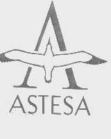 商标名称ASTESA商标注册号 1275595、商标申请人刘美文的商标详情 - 标库网商标查询