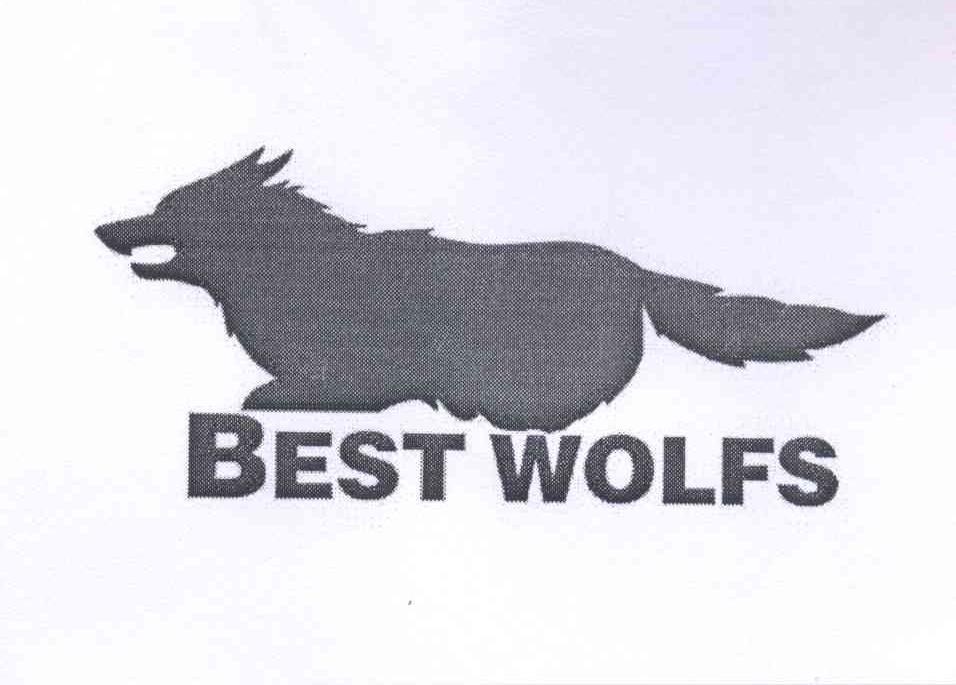 商标名称BEST WOLFS商标注册号 12650597、商标申请人池万森的商标详情 - 标库网商标查询