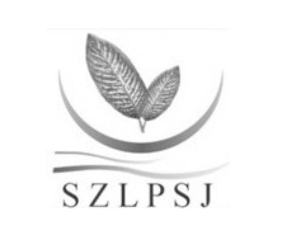 商标名称SZLPSJ商标注册号 14382894、商标申请人深圳市莱佩世家家具有限公司的商标详情 - 标库网商标查询