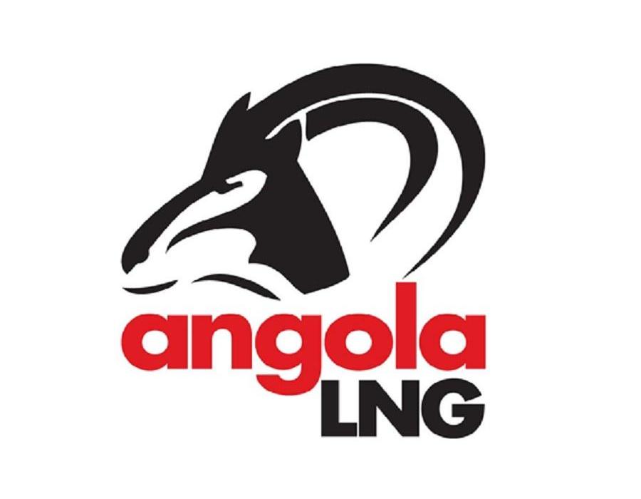 商标名称ANGOLA LNG商标注册号 12200813、商标申请人安哥拉LNG有限公司的商标详情 - 标库网商标查询