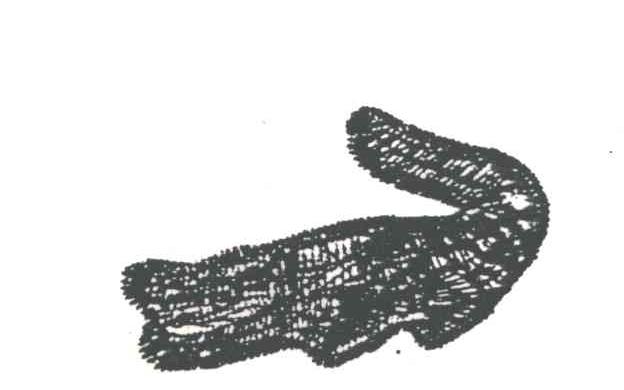 商标名称图形商标注册号 2023144、商标申请人上海新鳄制衣有限公司的商标详情 - 标库网商标查询