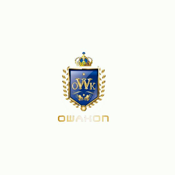 商标名称OWK OWAKON商标注册号 18265737、商标申请人段李红的商标详情 - 标库网商标查询
