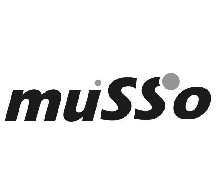商标名称MUSSO商标注册号 10013214、商标申请人宁波蓝润能源科技股份有限公司的商标详情 - 标库网商标查询