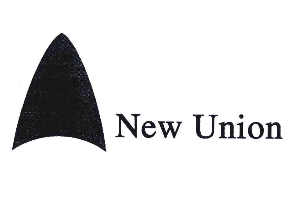 商标名称NEW UNION商标注册号 4847070、商标申请人何为的商标详情 - 标库网商标查询