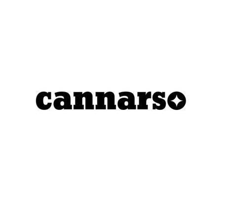 商标名称CANNARSO商标注册号 13228382、商标申请人宁海佳树电器有限公司的商标详情 - 标库网商标查询