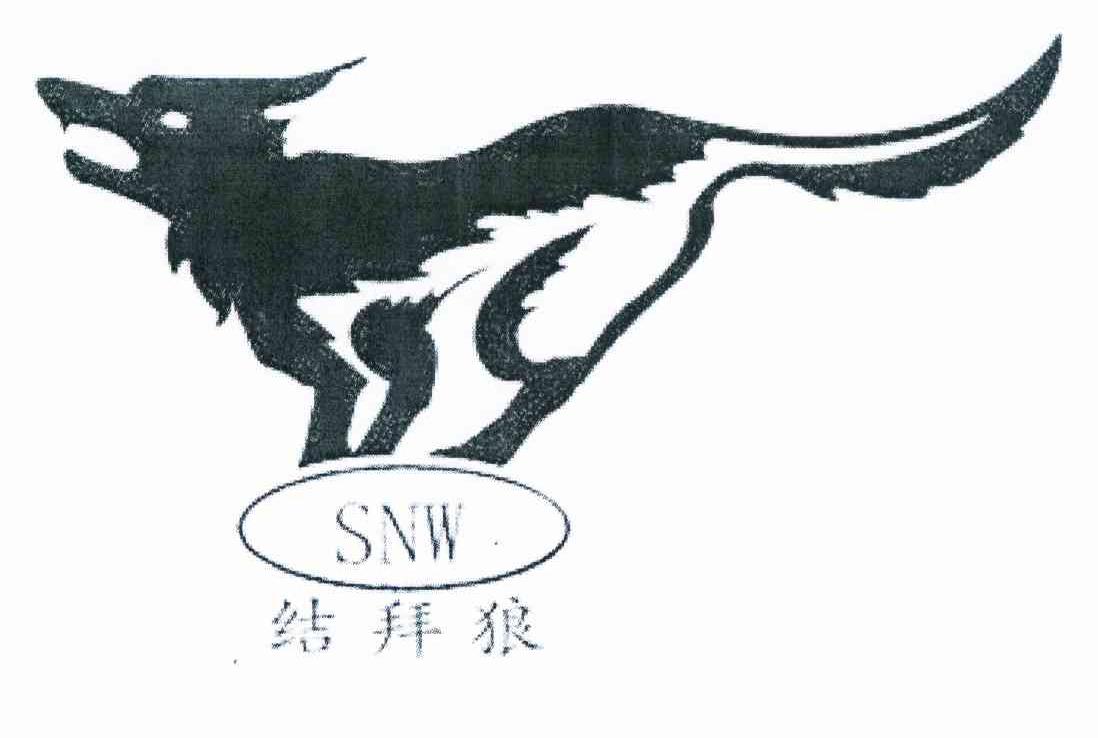 商标名称结拜狼 SNW商标注册号 10968582、商标申请人王友周的商标详情 - 标库网商标查询
