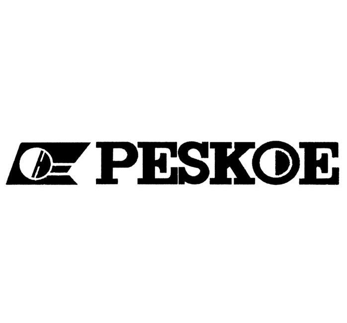 商标名称PESKOE商标注册号 10030213、商标申请人佛山市顺德区勒流镇半球电器实业有限公司的商标详情 - 标库网商标查询