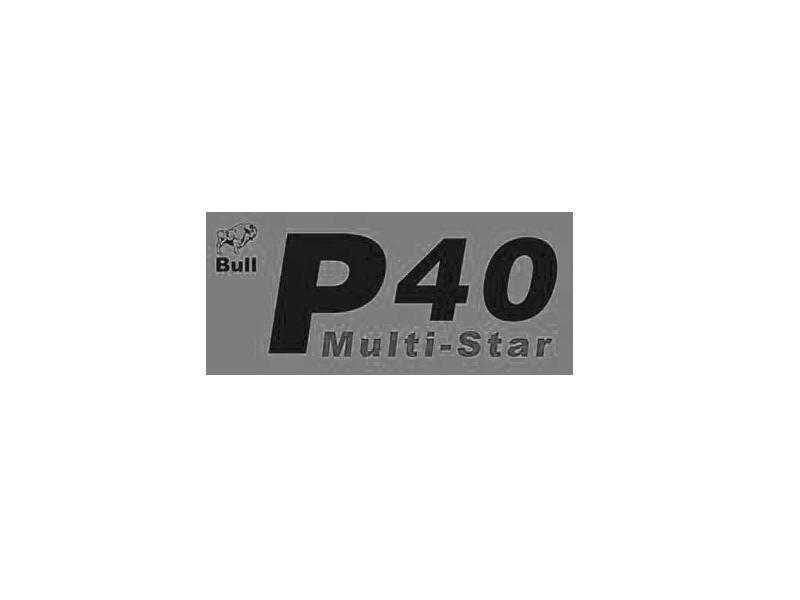 商标名称BULL P40 MULTI-STAR商标注册号 10667924、商标申请人深圳市永天源科技有限公司的商标详情 - 标库网商标查询