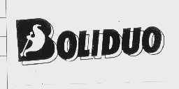 商标名称BOLIDUO商标注册号 1122535、商标申请人广东省伯利多实业有限公司的商标详情 - 标库网商标查询
