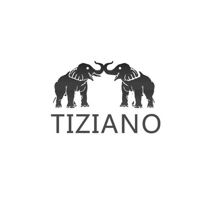 商标名称TIZIANO商标注册号 13929756、商标申请人佛山市红歌陶瓷有限公司的商标详情 - 标库网商标查询
