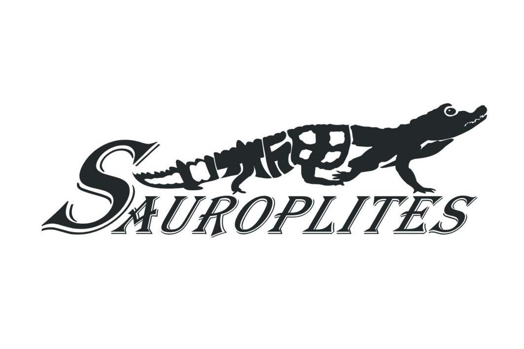 商标名称SAUROPLITES商标注册号 10666815、商标申请人安吉蜥甲龙户外用品有限公司的商标详情 - 标库网商标查询