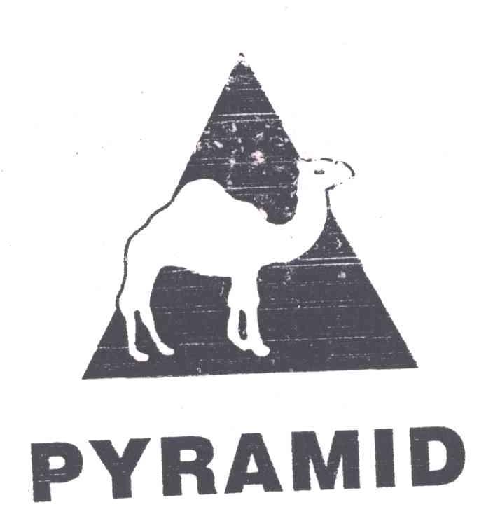 商标名称PYRAMID商标注册号 4423617、商标申请人东莞市三井化工有限公司的商标详情 - 标库网商标查询