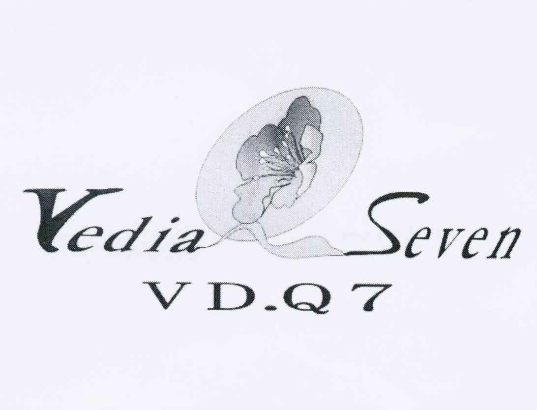 商标名称VEDIA SEVEN VD.Q 7商标注册号 10515743、商标申请人吴海燕的商标详情 - 标库网商标查询