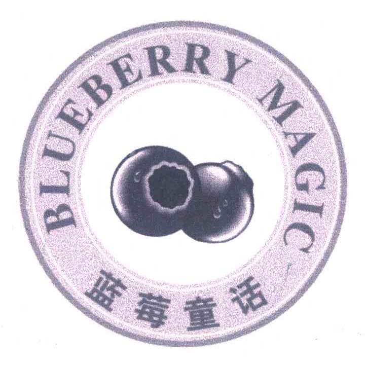 商标名称蓝莓童话 BLUEBERRY MAGIC商标注册号 7191976、商标申请人瑞恩（天津）智能产品有限公司的商标详情 - 标库网商标查询