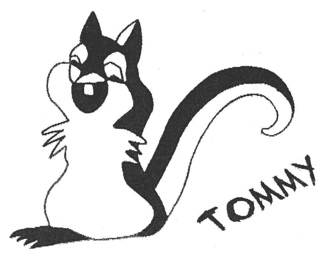 商标名称TOMMY商标注册号 3966719、商标申请人惠州市博内里奥服饰有限公司的商标详情 - 标库网商标查询