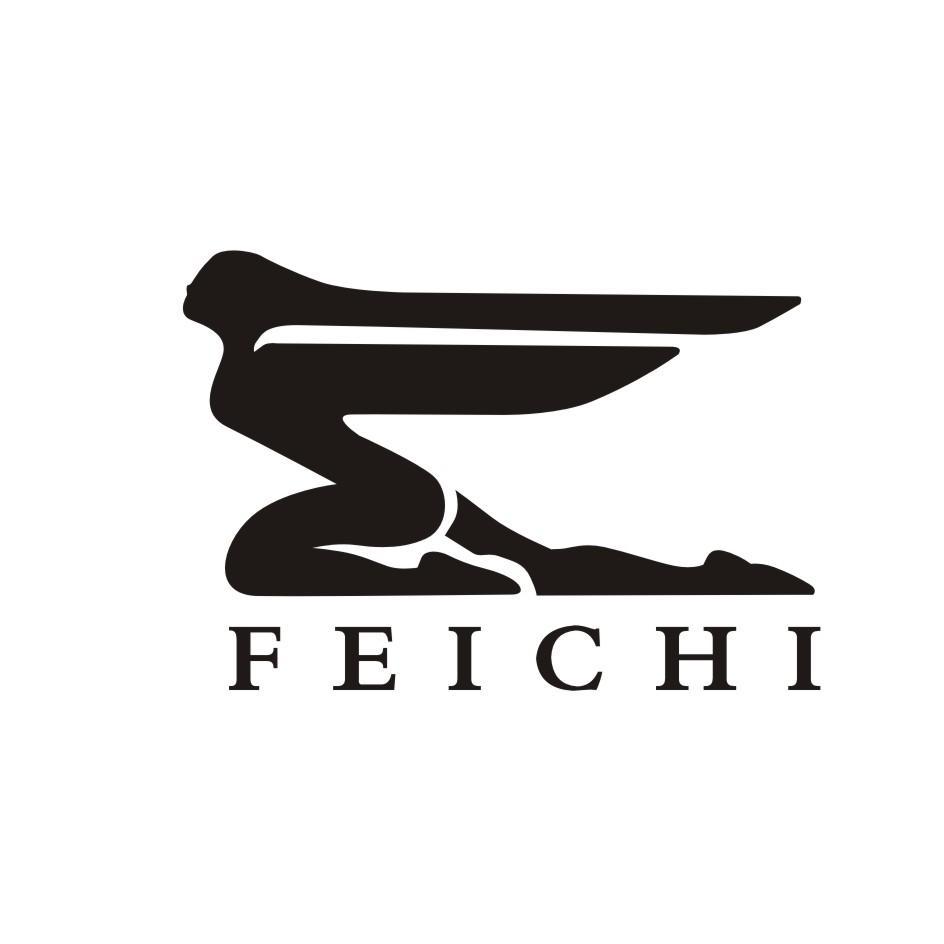 商标名称FEICHI商标注册号 14215931、商标申请人浙江飞驰机电有限公司的商标详情 - 标库网商标查询