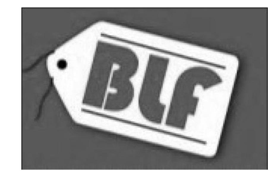 商标名称BLF商标注册号 11312499、商标申请人大信贸易商社的商标详情 - 标库网商标查询