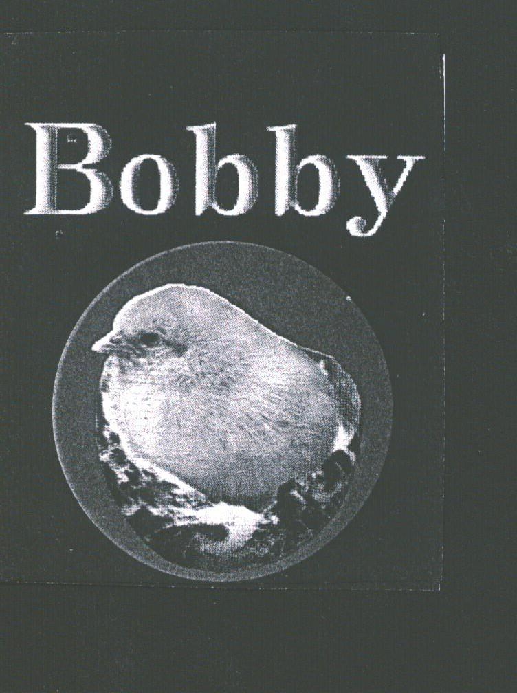 商标名称BOBBY商标注册号 1767790、商标申请人标准贸易行的商标详情 - 标库网商标查询