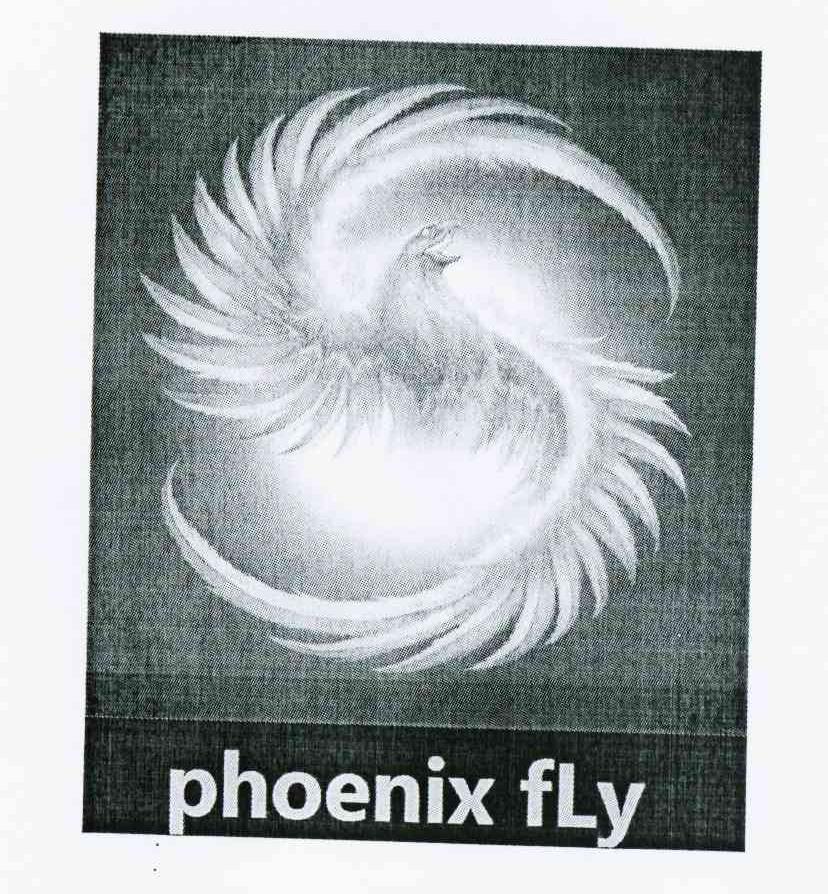 商标名称PHOENIX FLY商标注册号 10378089、商标申请人李顺华的商标详情 - 标库网商标查询