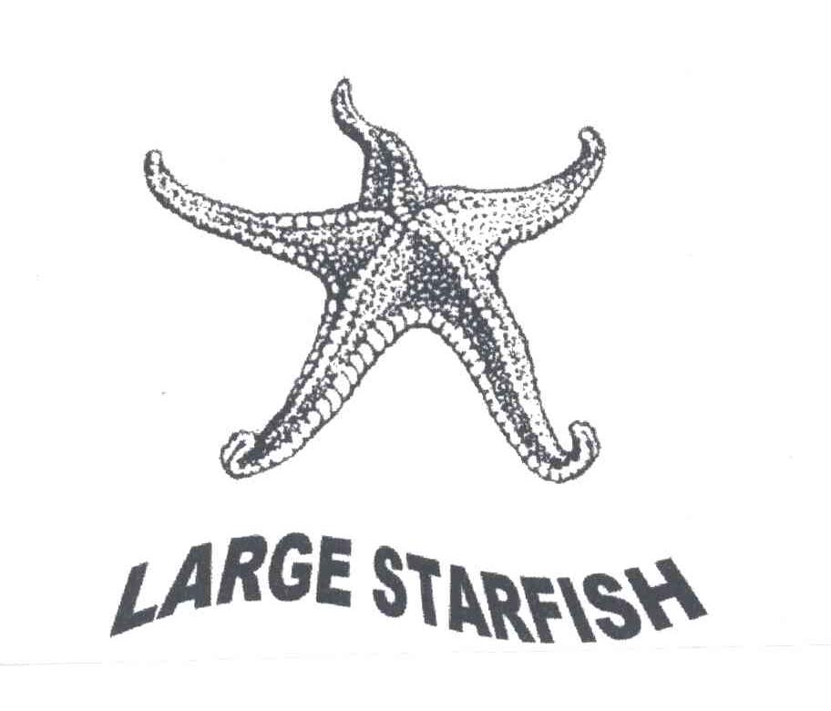 商标名称LARGE STARFISH及图商标注册号 3155196、商标申请人李建红的商标详情 - 标库网商标查询