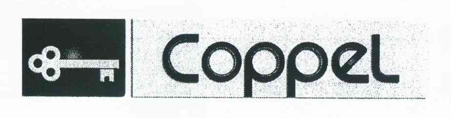 商标名称COPPEL商标注册号 8801662、商标申请人科佩尔可变动资本额公司的商标详情 - 标库网商标查询