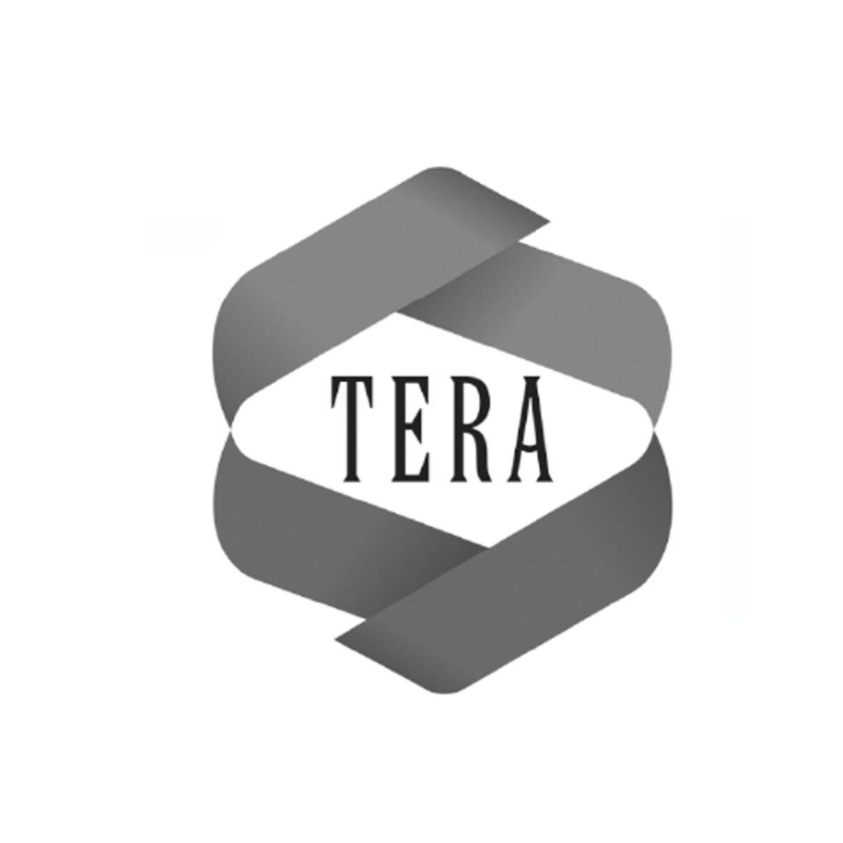 商标名称TERA商标注册号 10438582、商标申请人深圳德利环球科技有限公司的商标详情 - 标库网商标查询