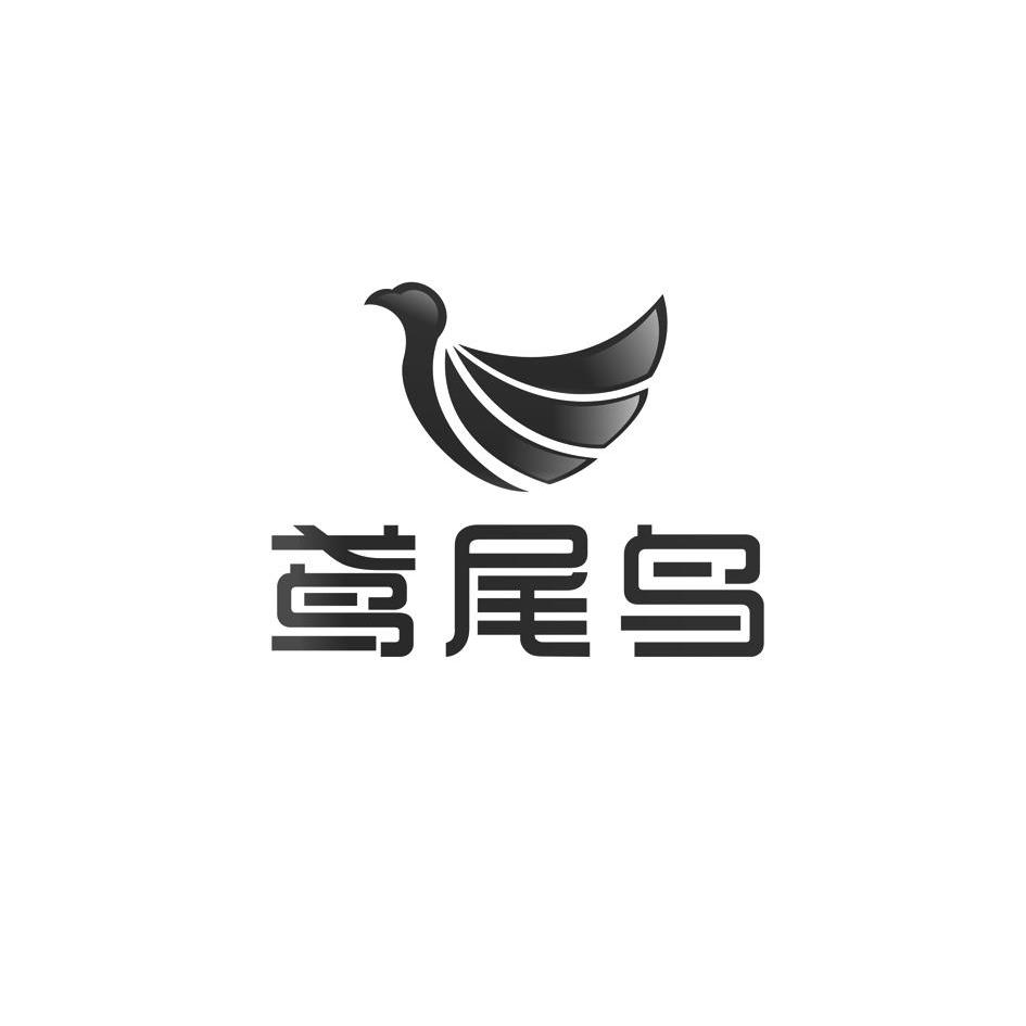 商标名称鸢尾鸟商标注册号 14262838、商标申请人温州包黑炭贸易有限公司的商标详情 - 标库网商标查询