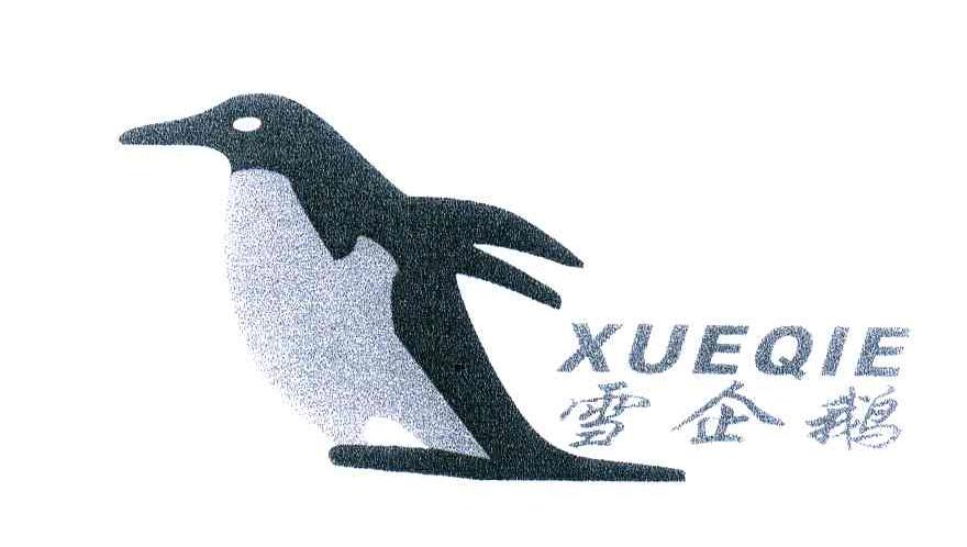 商标名称雪企鹅;XUE QI E商标注册号 5313555、商标申请人林迪的商标详情 - 标库网商标查询