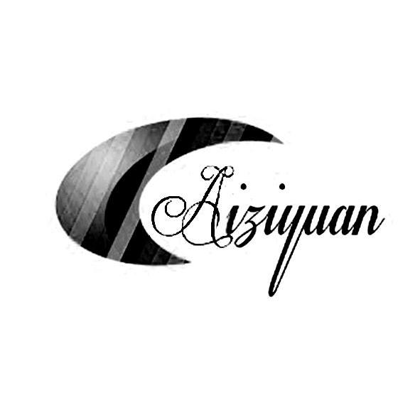 商标名称AIZIYUAN商标注册号 12070431、商标申请人武汉中地数码科技有限公司的商标详情 - 标库网商标查询
