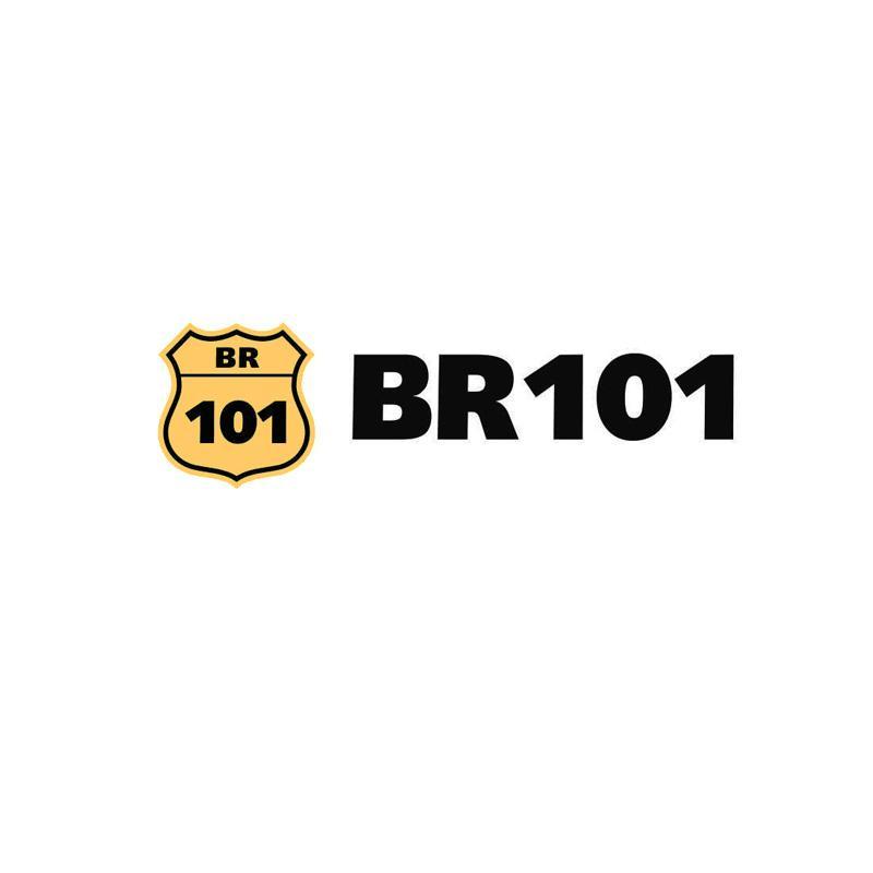 商标名称BR101商标注册号 10450327、商标申请人泰安美拓国际贸易有限公司的商标详情 - 标库网商标查询