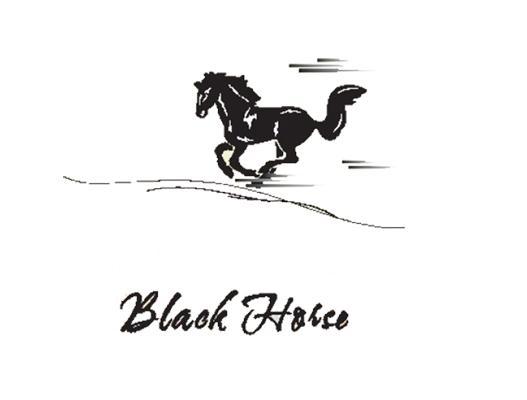 商标名称BLACK HORSE商标注册号 11449818、商标申请人福建澳通利亚实业有限公司的商标详情 - 标库网商标查询