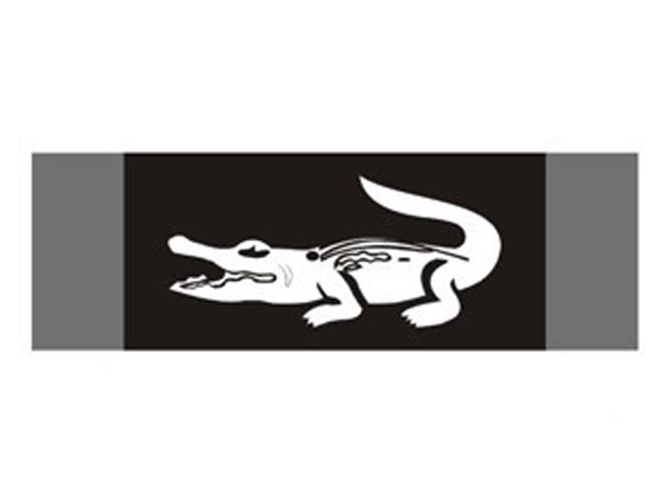 商标名称图形商标注册号 11366354、商标申请人法国鳄鱼服饰股份有限公司的商标详情 - 标库网商标查询