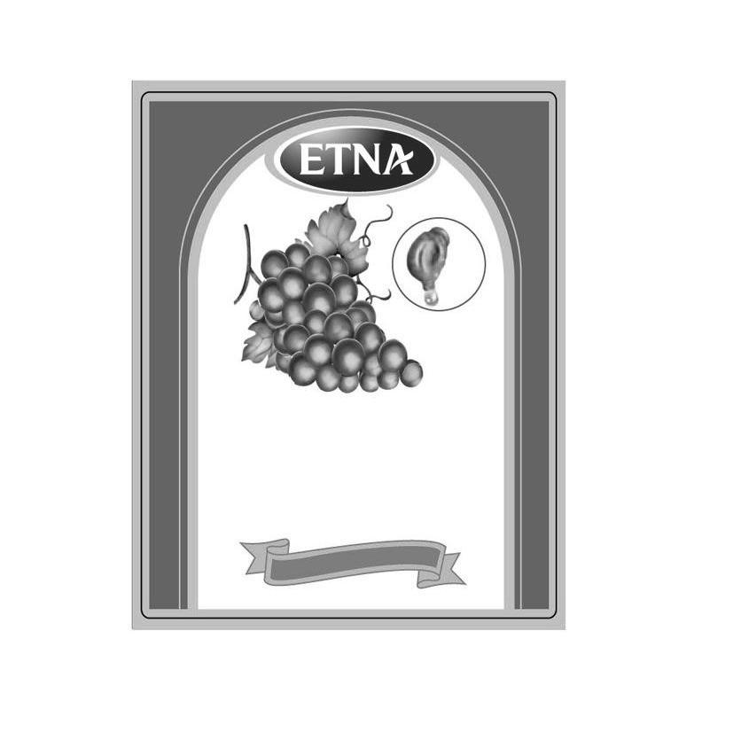 商标名称ETNA商标注册号 7635635、商标申请人北京和平之叶贸易有限公司的商标详情 - 标库网商标查询