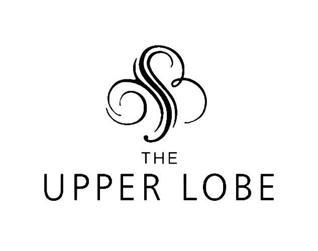 商标名称THE UPPER LOBE商标注册号 10439775、商标申请人海宁市正尚服饰有限公司的商标详情 - 标库网商标查询