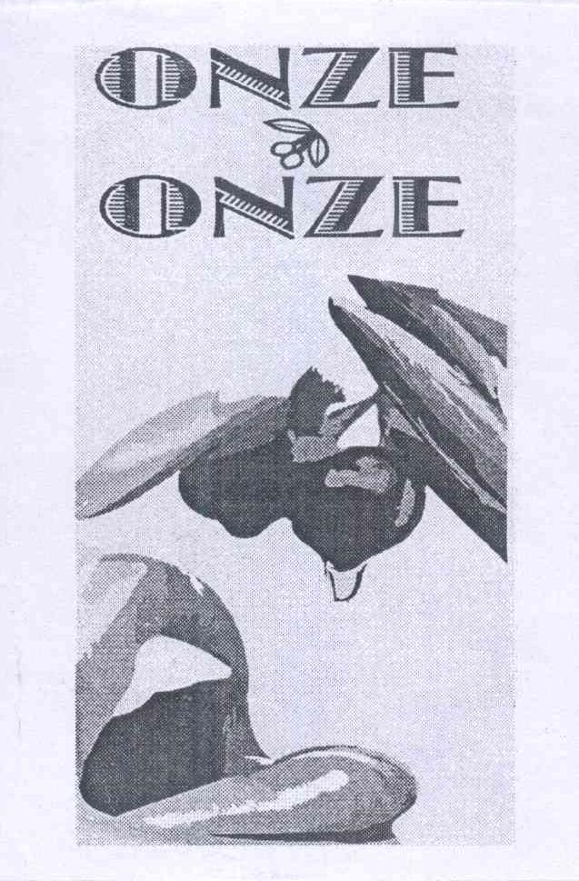商标名称ONZE ONZE商标注册号 14405506、商标申请人努丽娅 玛塔 科尔AAE的商标详情 - 标库网商标查询