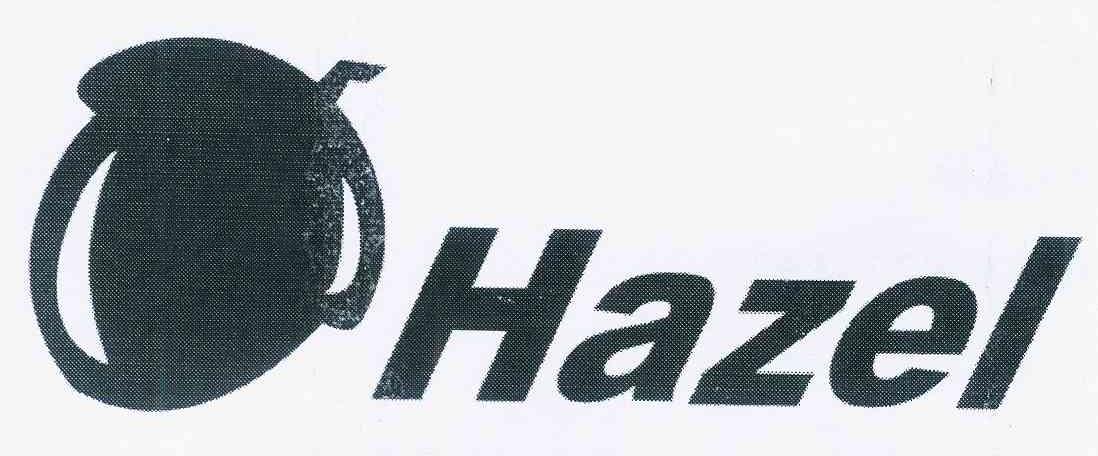 商标名称HAZEL商标注册号 12506343、商标申请人张元贞的商标详情 - 标库网商标查询