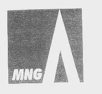 商标名称MNG商标注册号 1398671、商标申请人福建闽南集团公司的商标详情 - 标库网商标查询