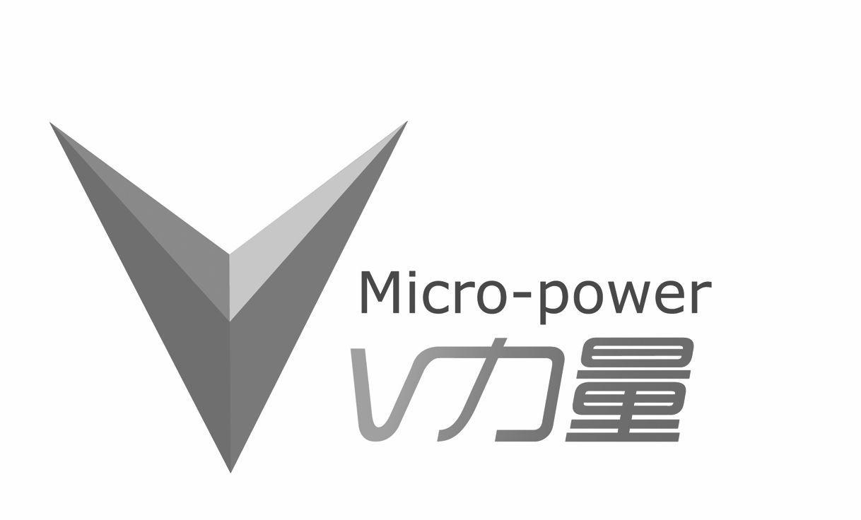 商标名称V力量 MICRO-POWER商标注册号 12095002、商标申请人湖南微力量艺术教育传媒股份有限公司的商标详情 - 标库网商标查询