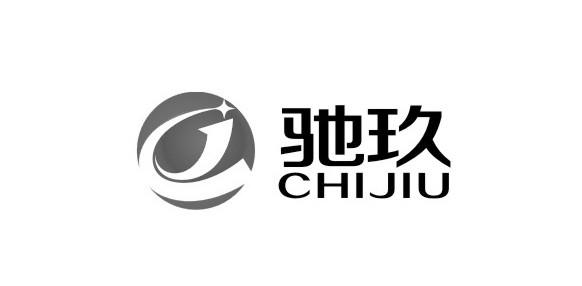 商标文字驰玖 cj商标注册号 31710850,商标申请人广东驰玖照明有限