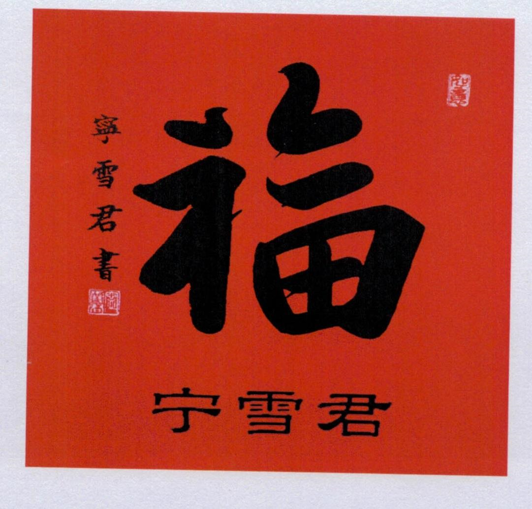 商标文字宁雪君 宁雪君书 福商标注册号 55683110,商标申请人北京阿肖