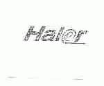 HAIER商标标样