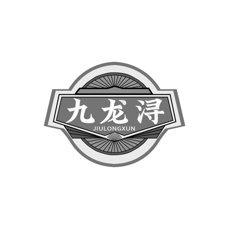 转让商标-九龙浔