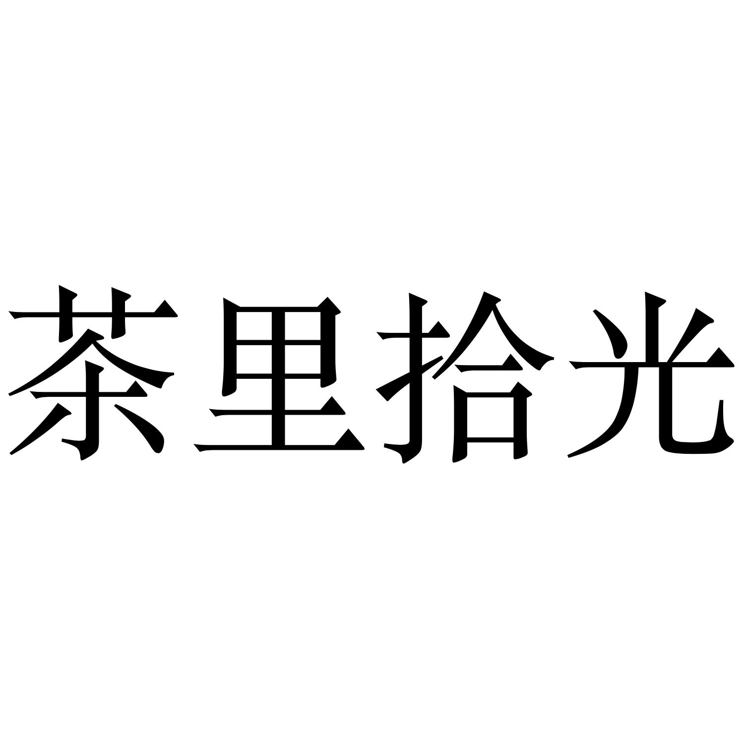 商標文字茶裡拾光商標註冊號 52092443,商標申請人裘海濤的商標詳情