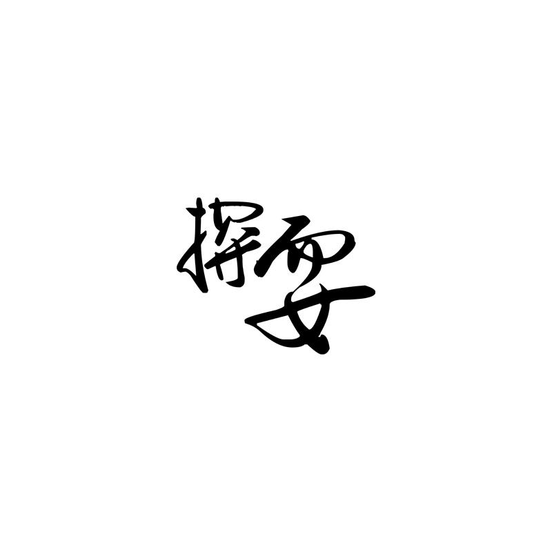 转让商标-探耍